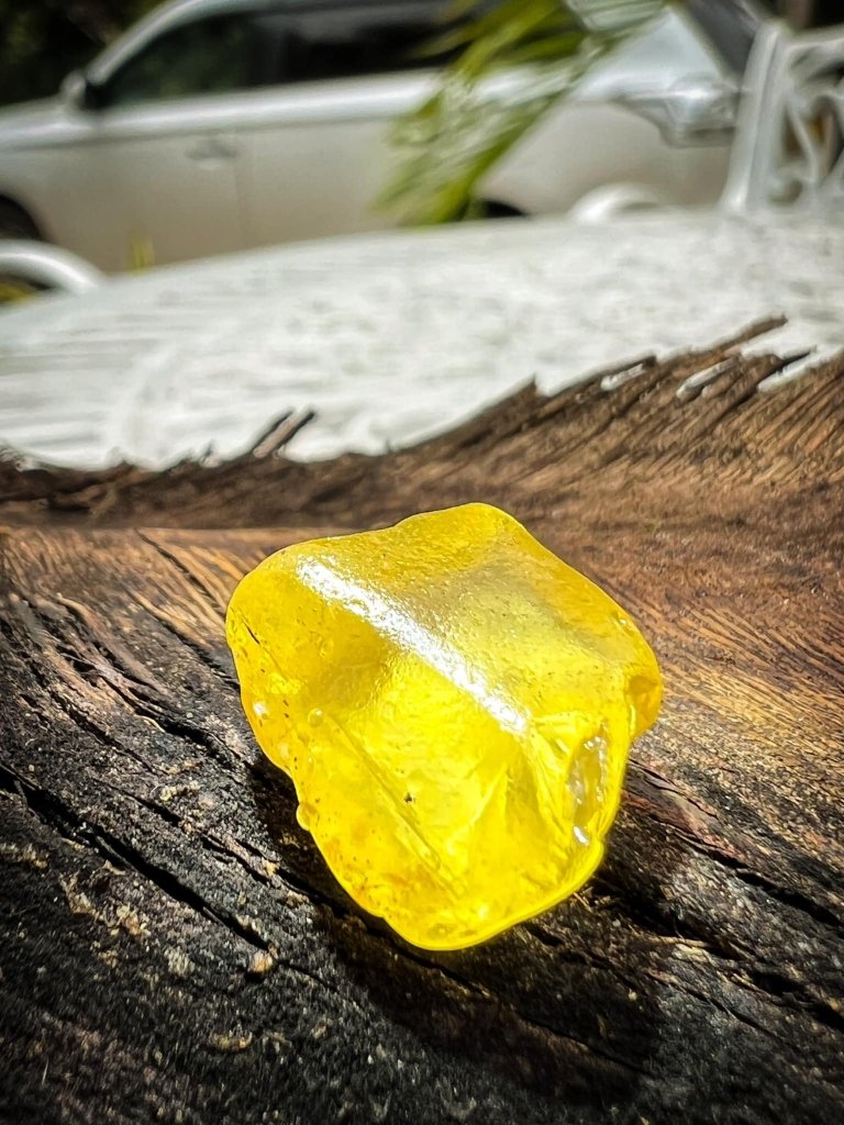 Ceylon Natural Yellow Sapphire Rough on Bark