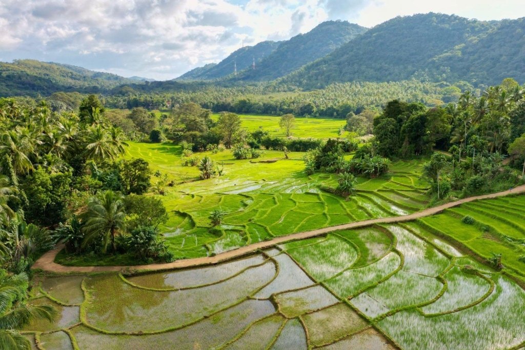 Sri Lanka Agroforestry and Terraced Living Landscape